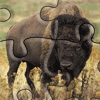 Buffalo Jigsaw